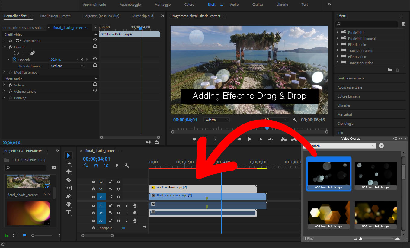 Video Overlay Collection