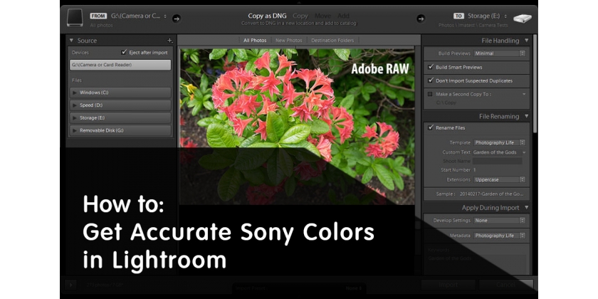 Come Ottenere Colori Sony Accurati in Lightroom