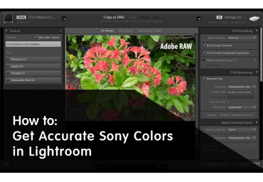 Como Obter Cores Precisas da Sony no Lightroom