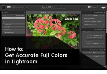 Como Obter Cores Fuji Precisas no Lightroom